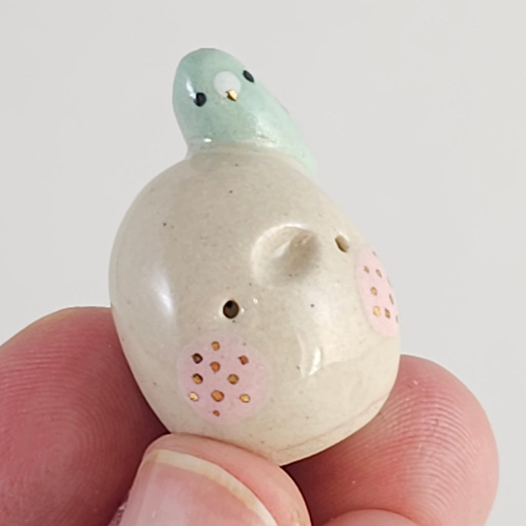 Tiny Bird Potato