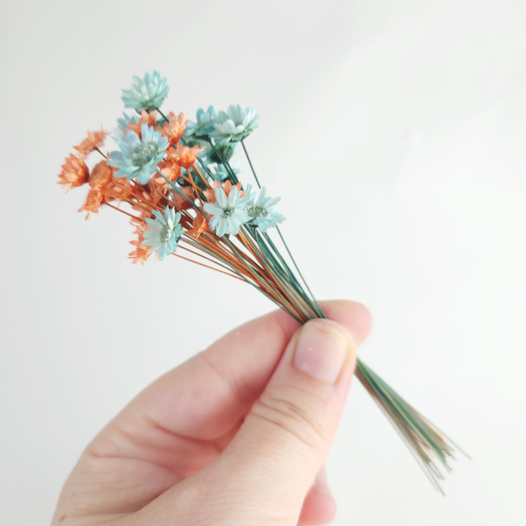 Glixia Dry Flowers