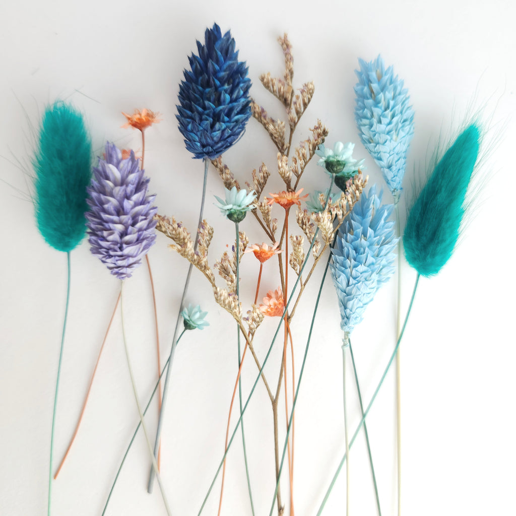 Small set of Dry Flowers