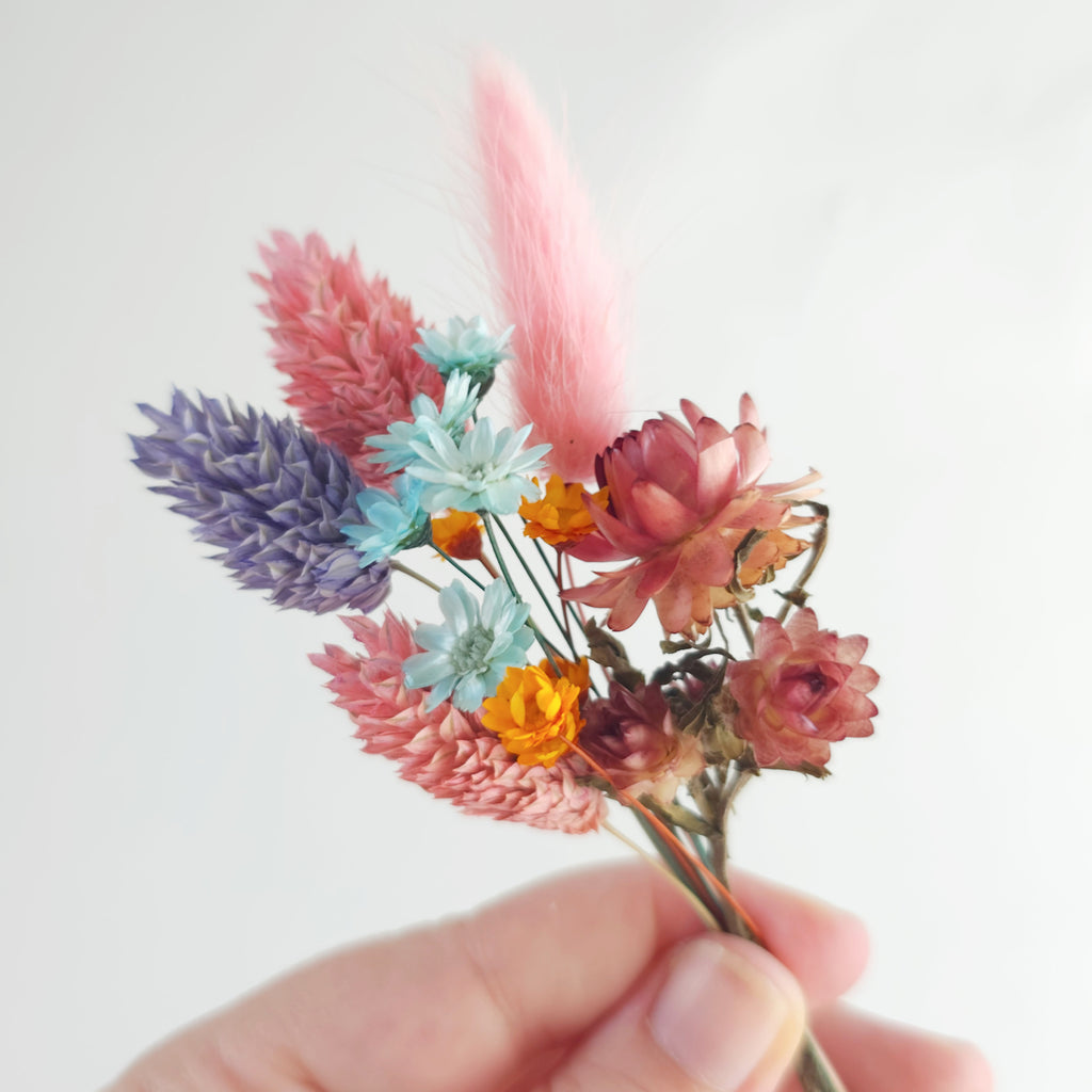 Small set of Dry Flowers