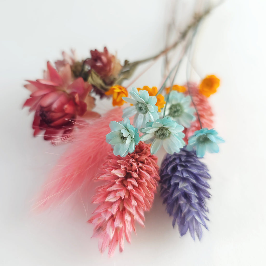 Small set of Dry Flowers