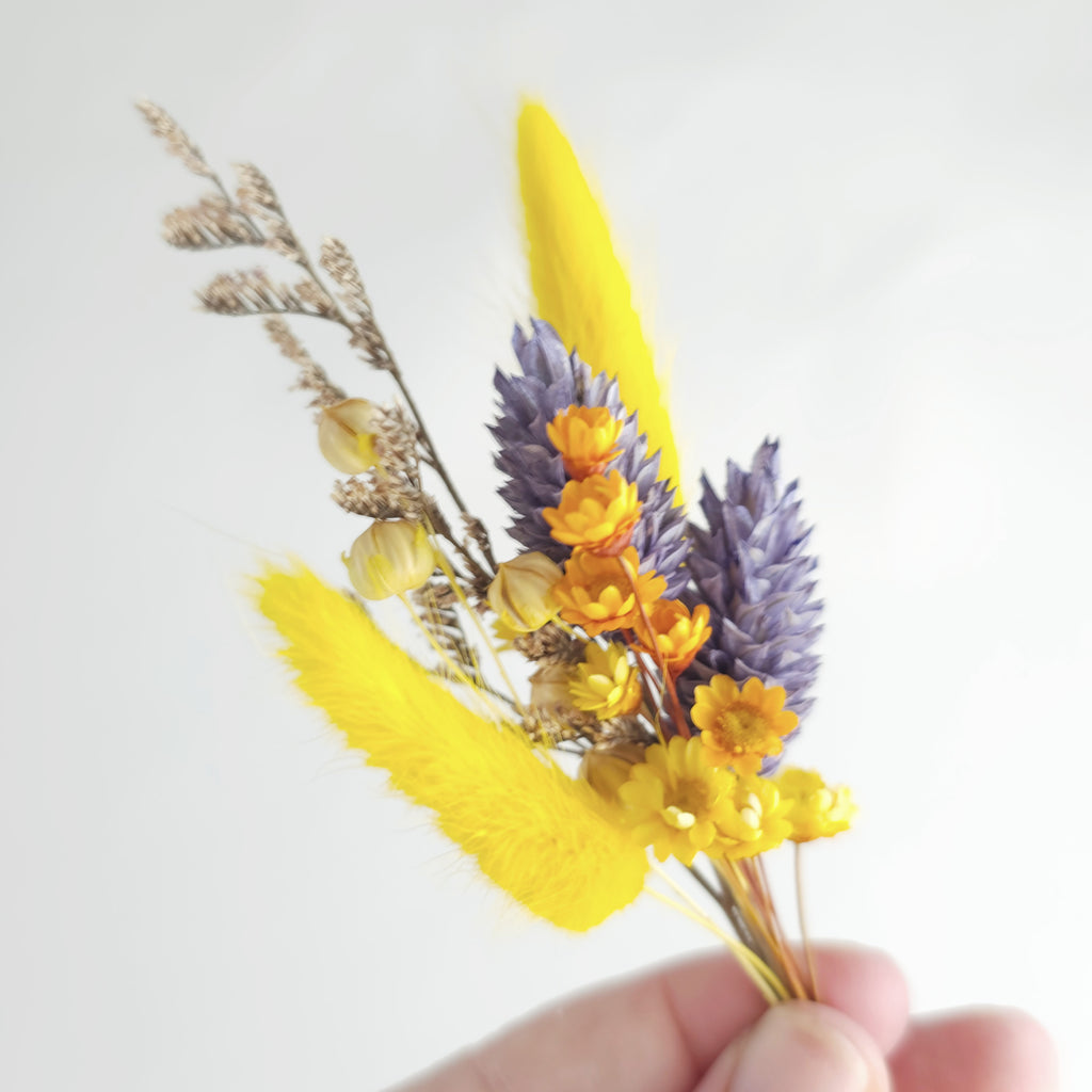 Small set of Dry Flowers