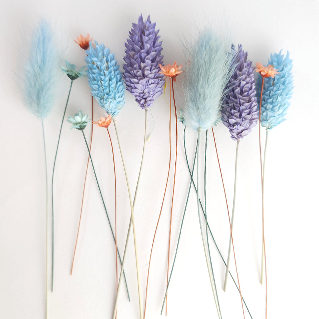 Small set of Dry Flowers