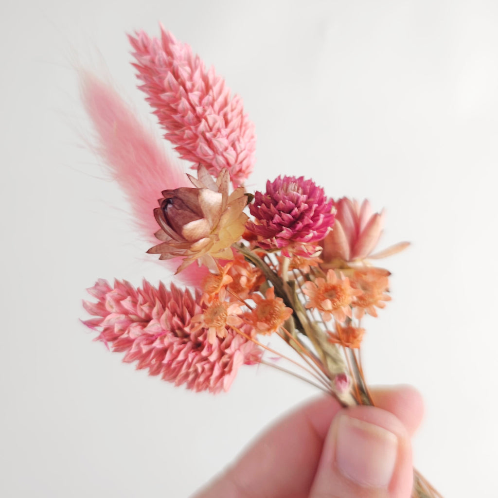 Small set of Dry Flowers