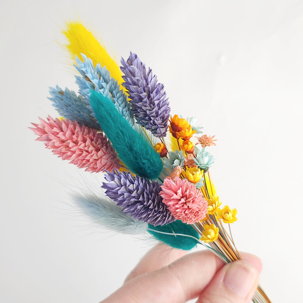 Set of Dry Flowers - Color Splash Mix