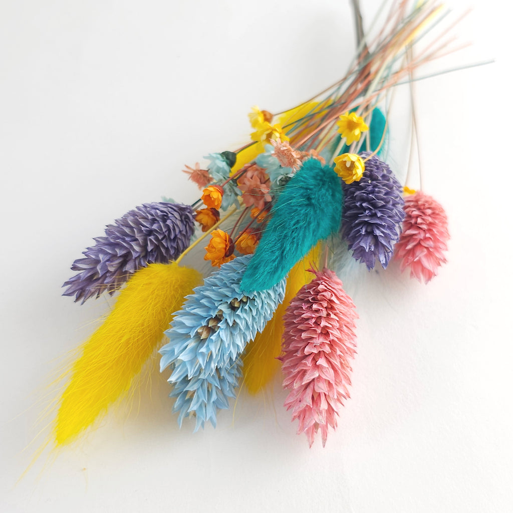 Set of Dry Flowers - Color Splash Mix