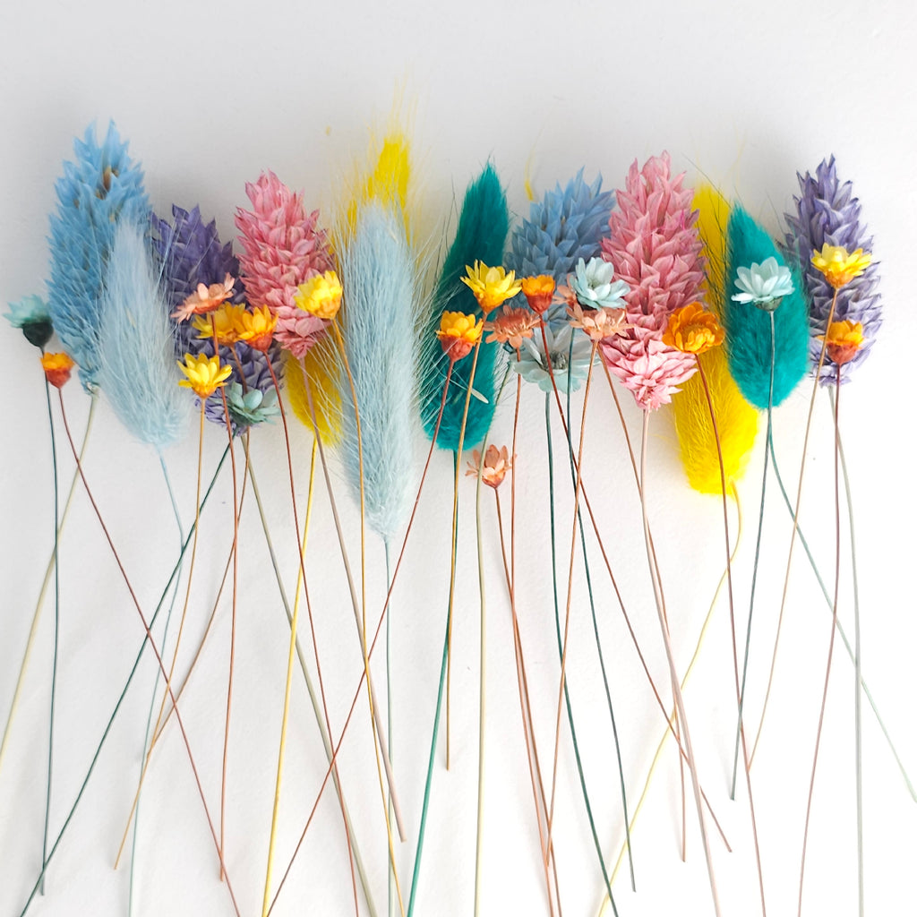 Set of Dry Flowers - Color Splash Mix