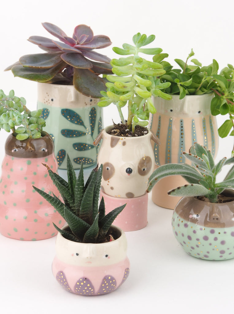 Golden Dots Collection: Lula the Mini Pup Pot