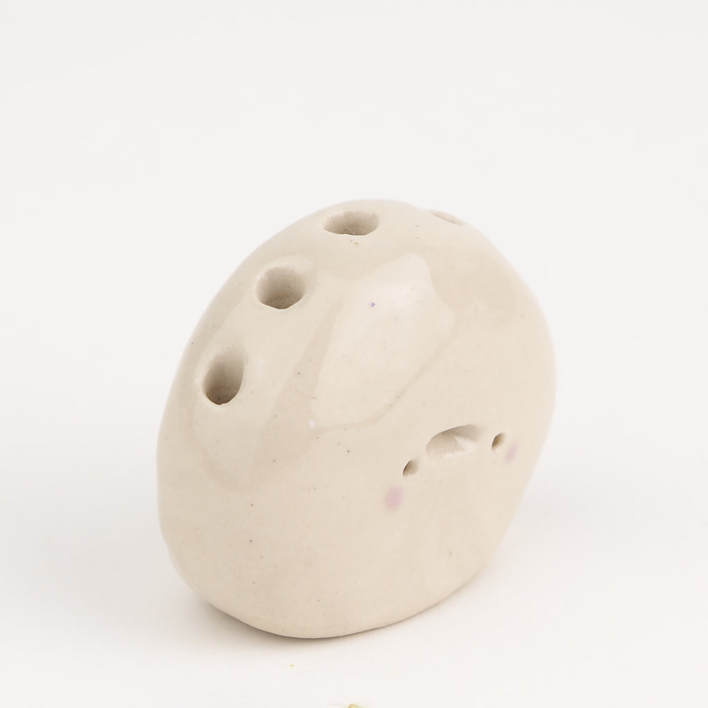 Leonard the Pebble