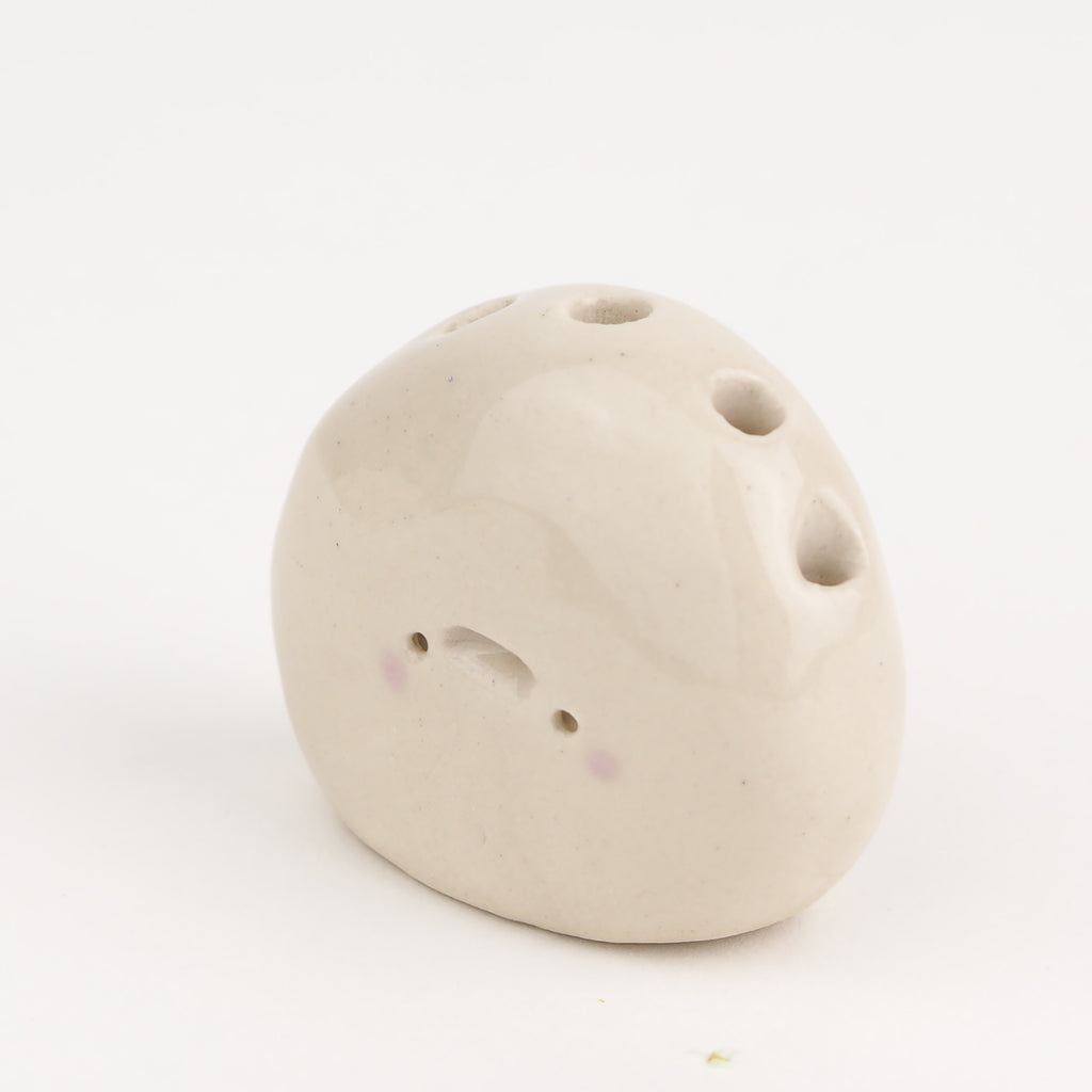 Leonard the Pebble