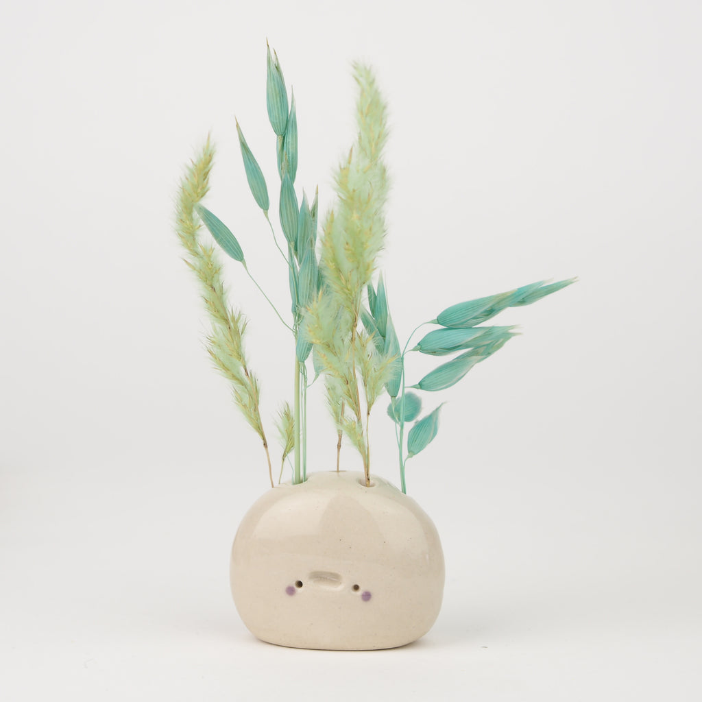 Francisco the Pebble