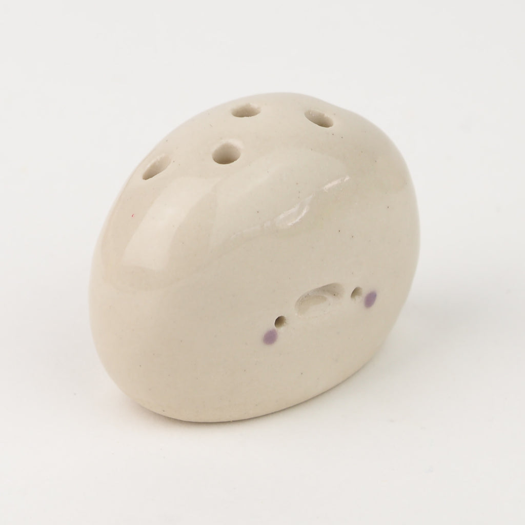 Francisco the Pebble