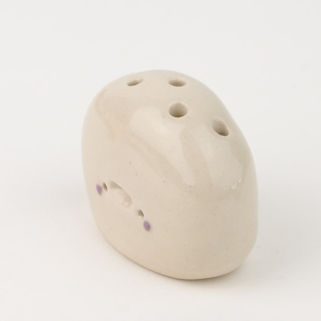 Francisco the Pebble