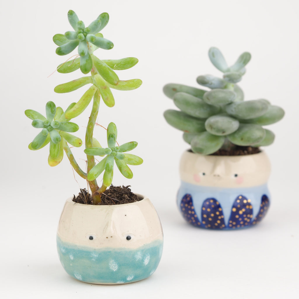 Seconds Collection: Kimmie the Pot