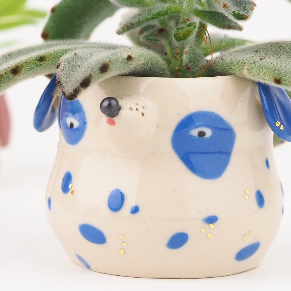 Golden Dots Collection: Einstein the Pup Pot