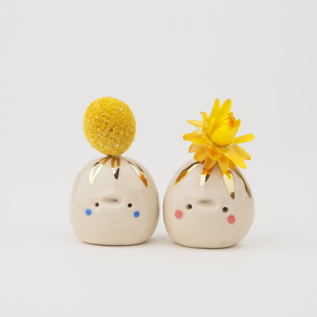 Flower Potato Nr. 479