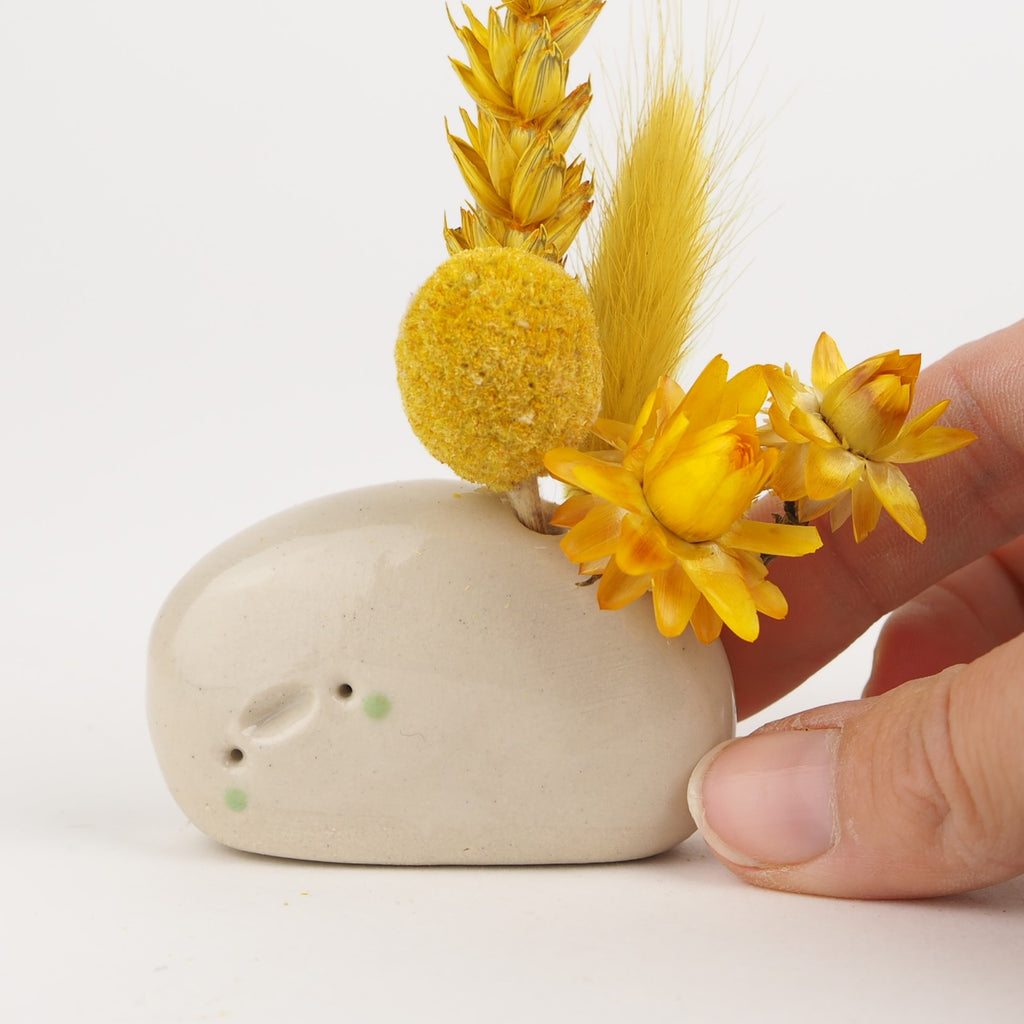 Pablo the Flower Pebble