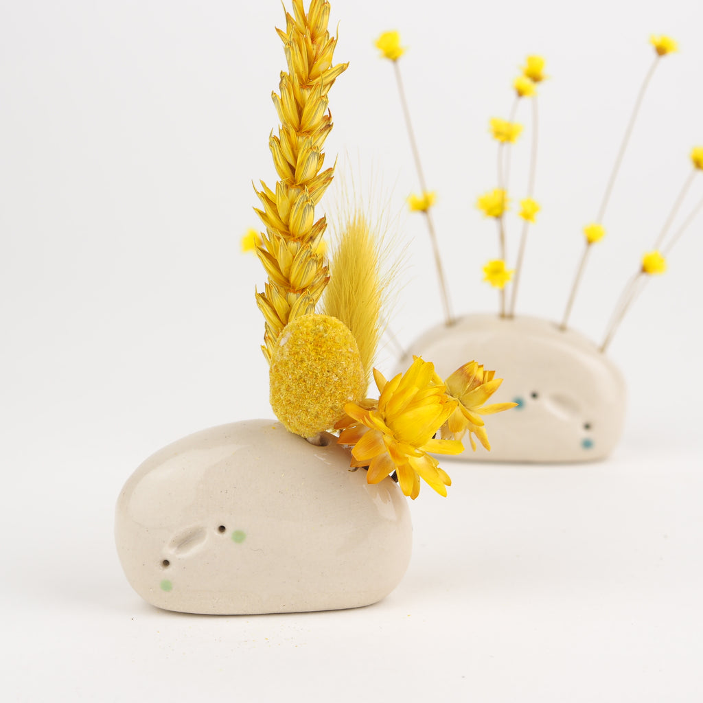 Pablo the Flower Pebble