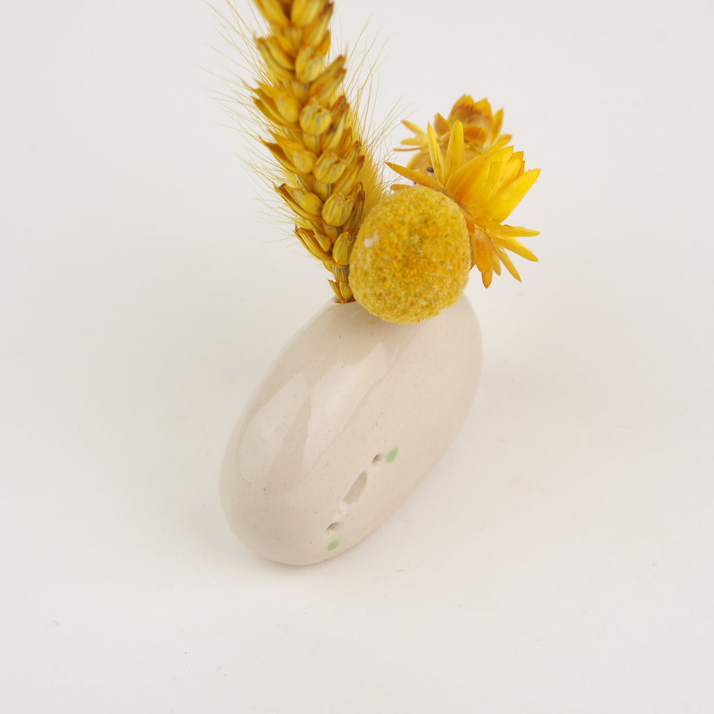 Pablo the Flower Pebble