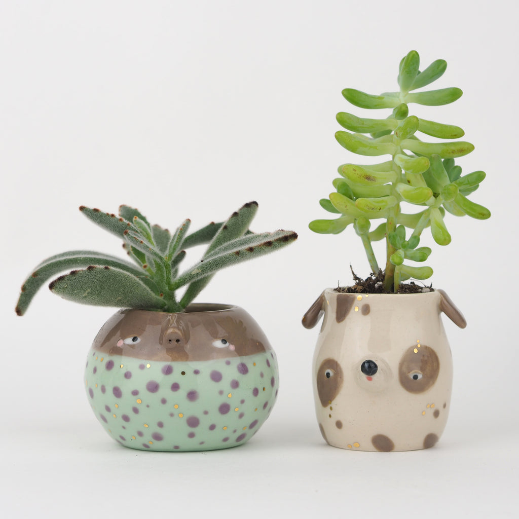 Golden Dots Collection: Lula the Mini Pup Pot