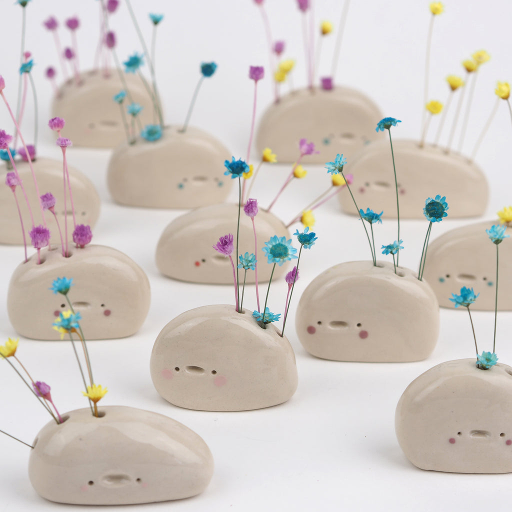 Meredith the Pebble