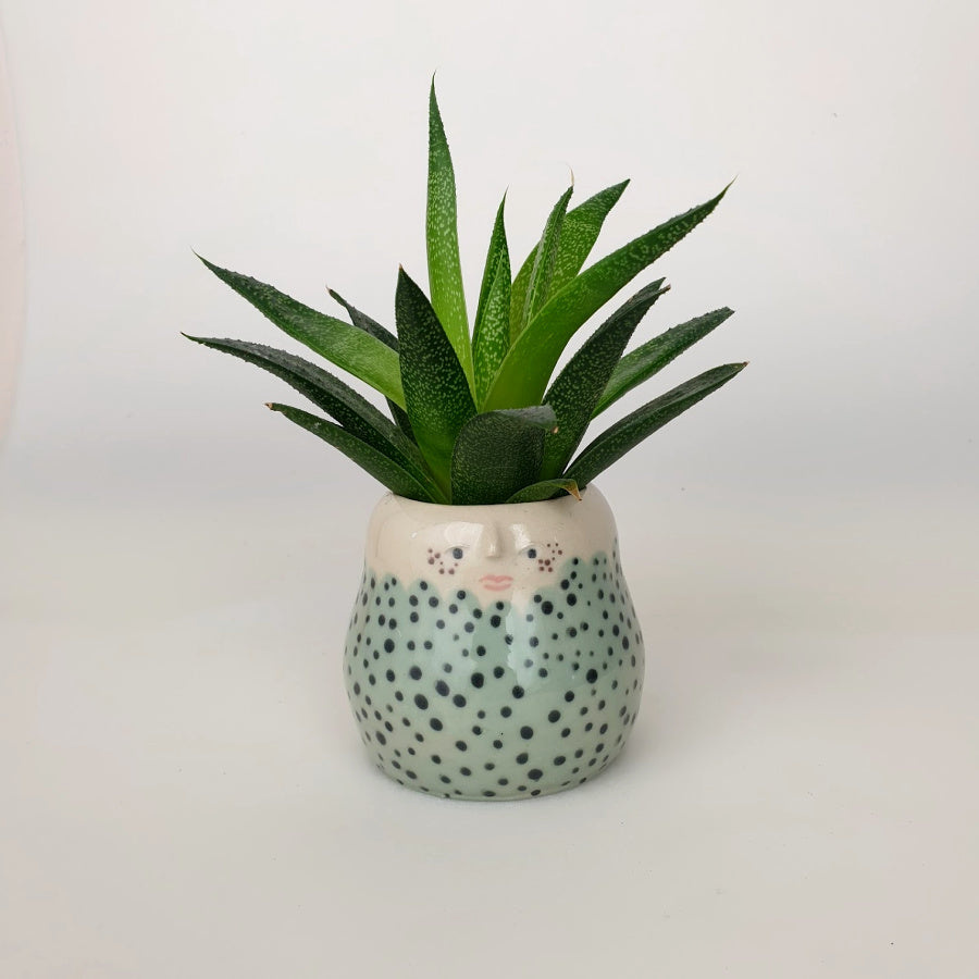 Pots - zonder goudluster