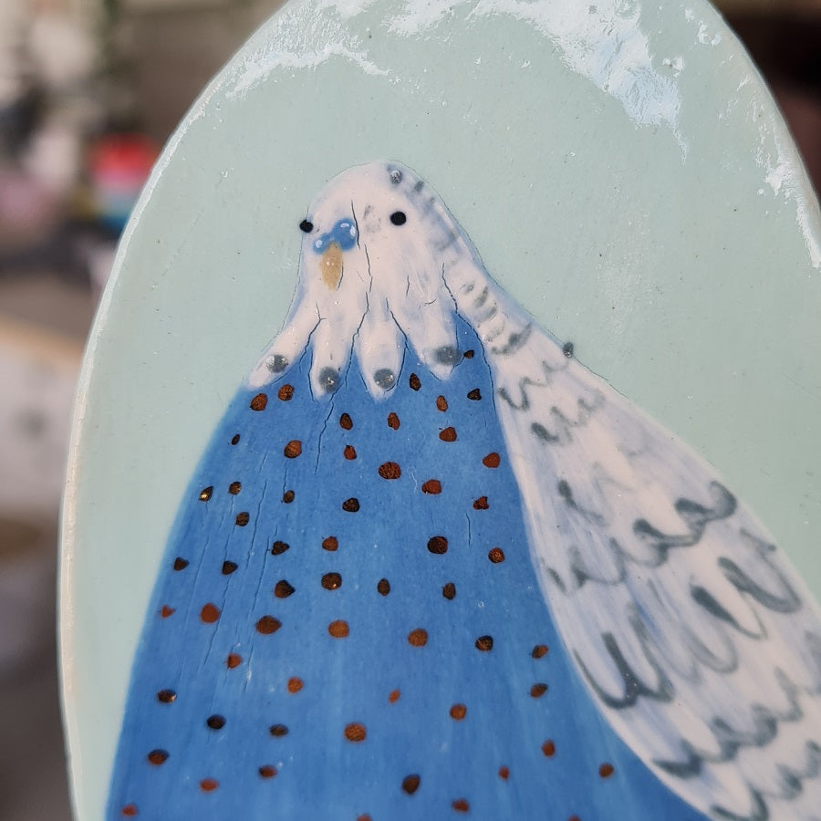 Big Fat Budgie portrait