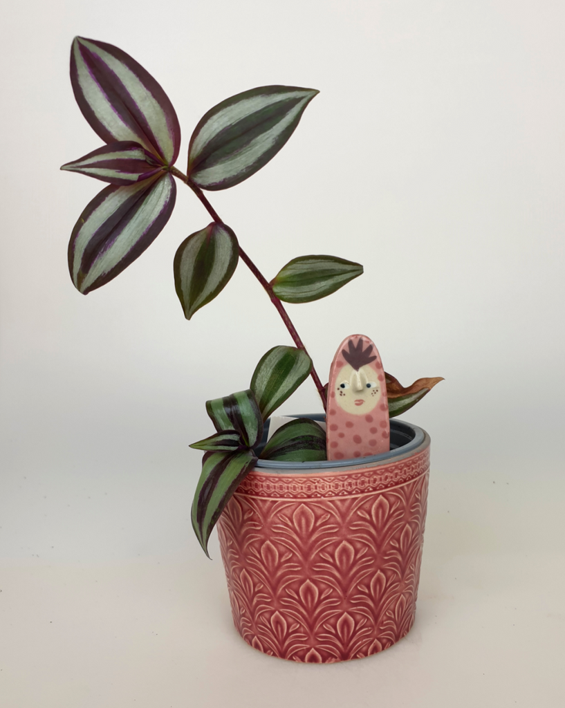 Mira the Plant Friend