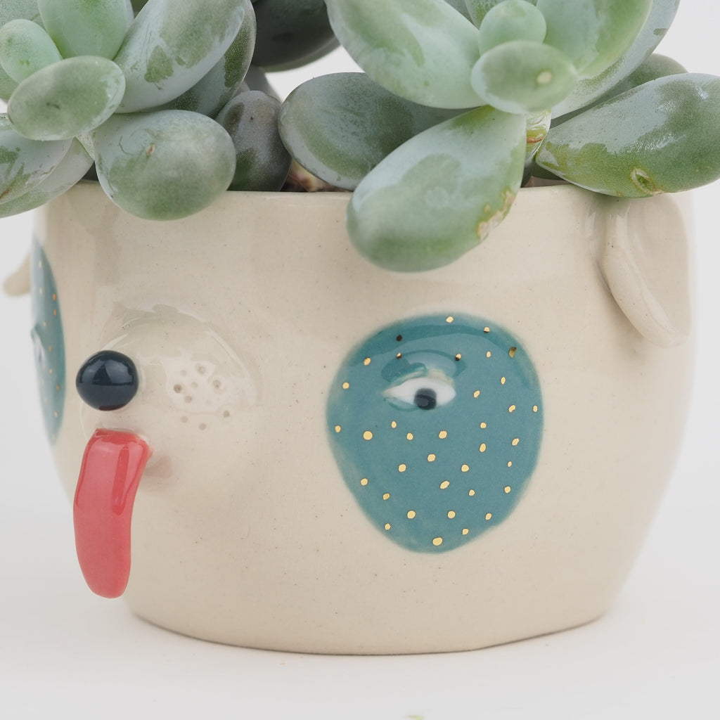 Golden Dots Collection: Buddy the Pot
