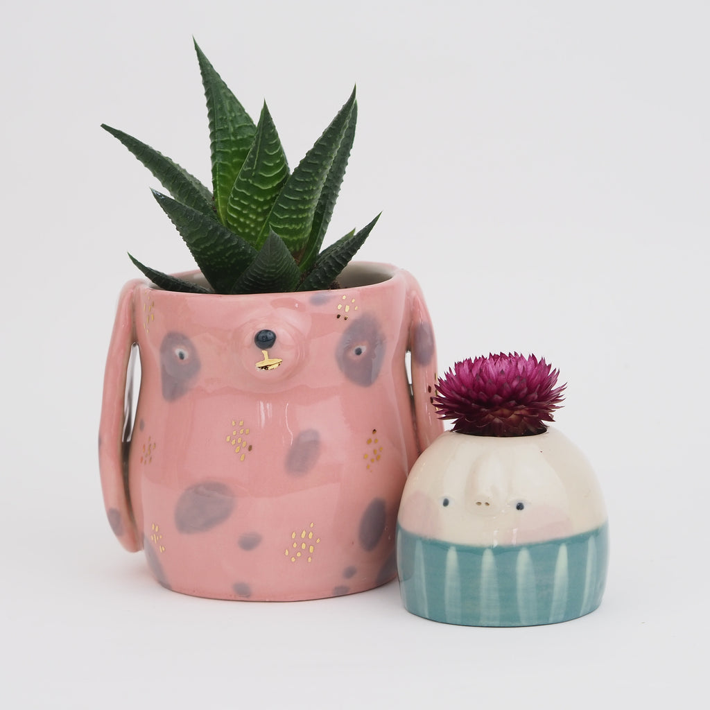 Golden Dots Collection: Teddy the Pot
