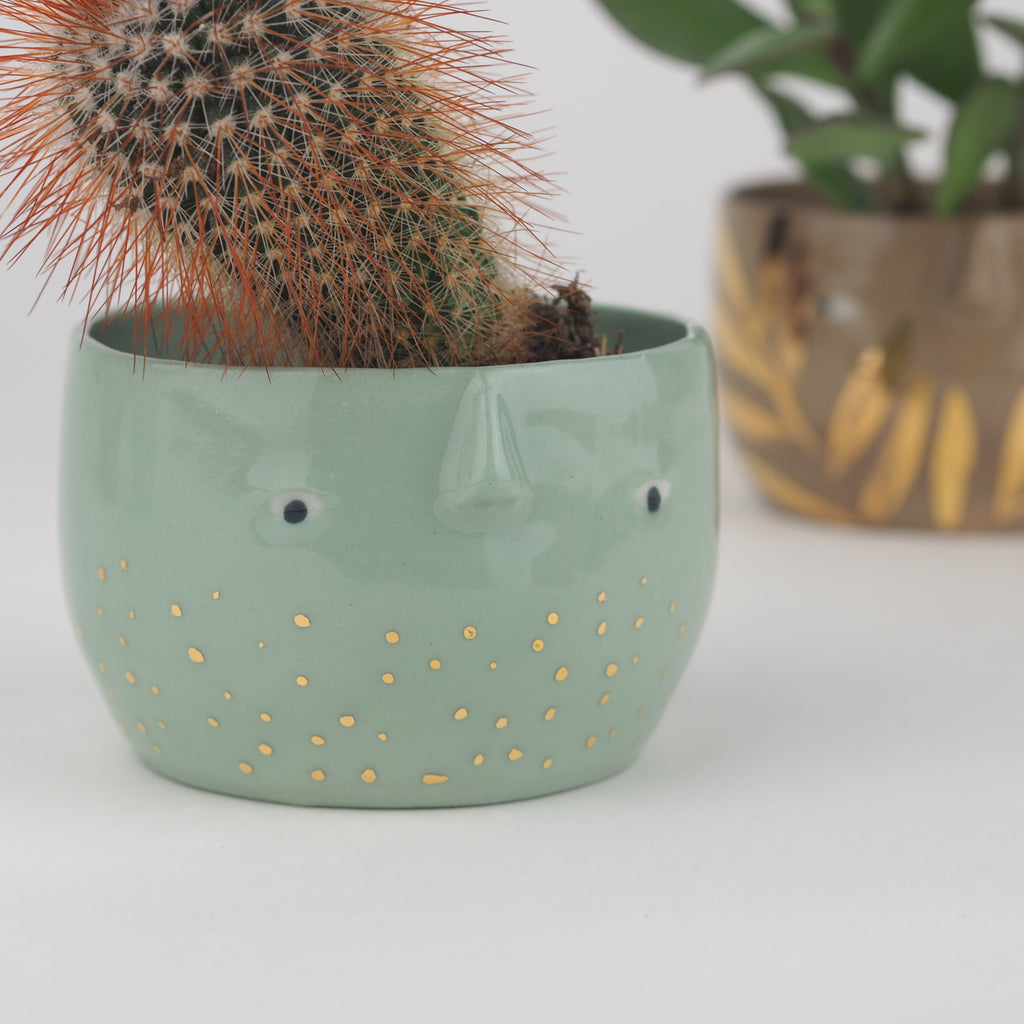 Golden Dots Collection: Eve the Pot